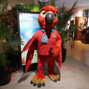 Red Macaw mascotte kostuum...
