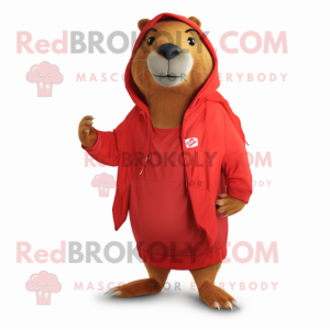 Rød Capybara maskot drakt...