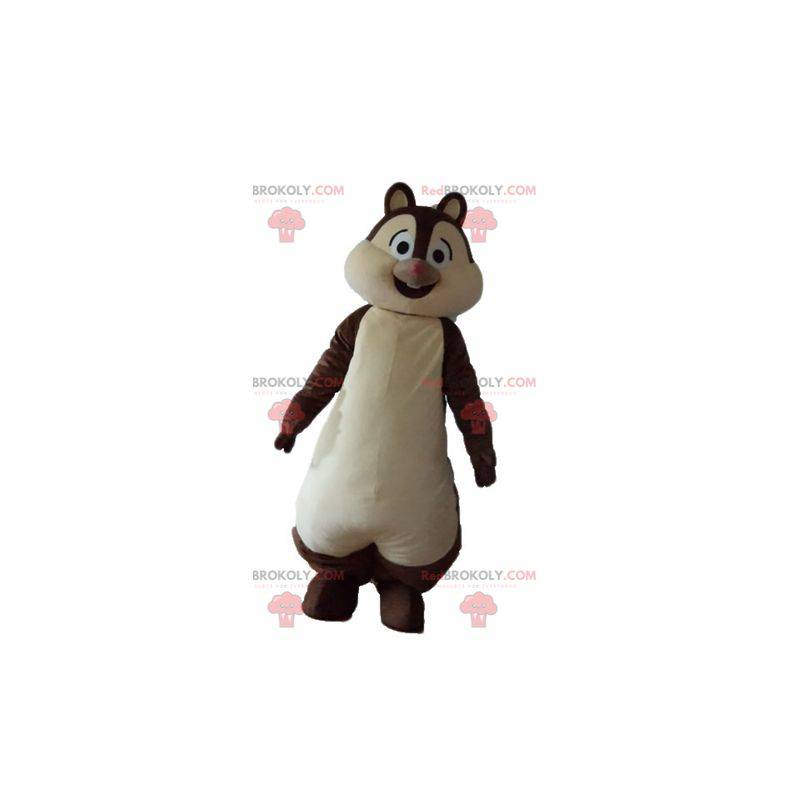 Mascote esquilo marrom e branco Tic ou Tac - Redbrokoly.com