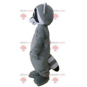 Very realistic black and white gray raccoon mascot -