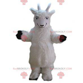 White goat goat mascot all hairy goat - Redbrokoly.com