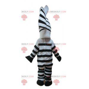 Mascote da famosa zebra Marty do desenho animado Madagascar -