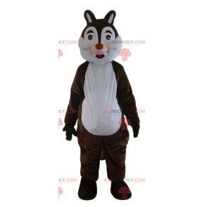 Tic or Tac brown and white squirrel mascot - Redbrokoly.com