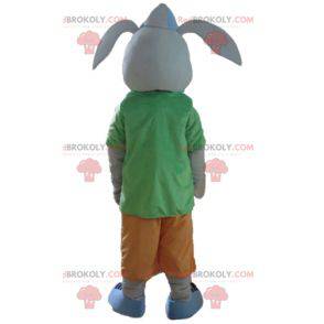 Gray rabbit mascot smiling with a colorful outfit -