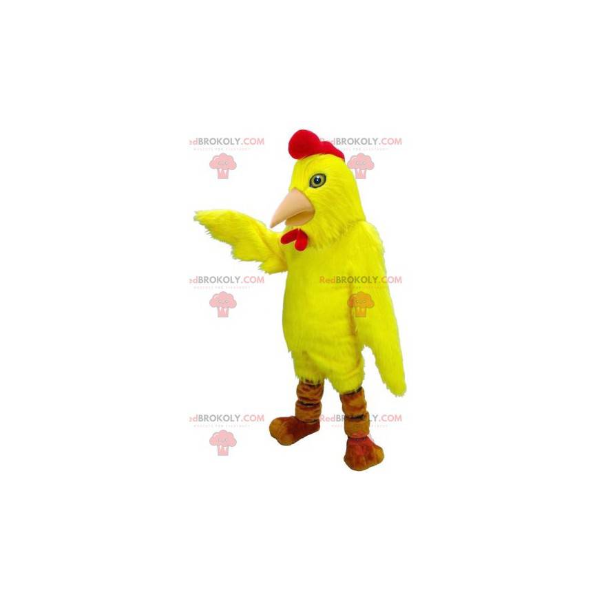 Mascotte d'oiseau de poule de coq jaune et rouge -