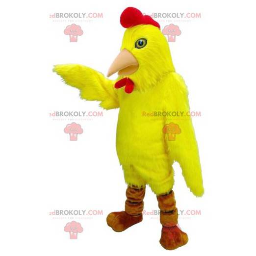 Mascotte d'oiseau de poule de coq jaune et rouge -