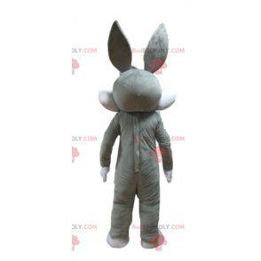 Bugs Bunny Maskottchen berühmten grauen Kaninchen Looney Tunes