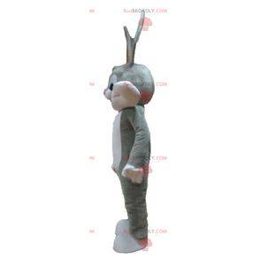 Bugs Bunny mascot famous gray rabbit Looney Tunes -