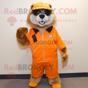 Orange Marmot maskot kostym...
