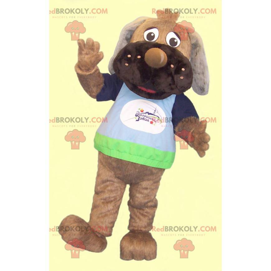 Mascota del perro marrón con una camiseta colorida -