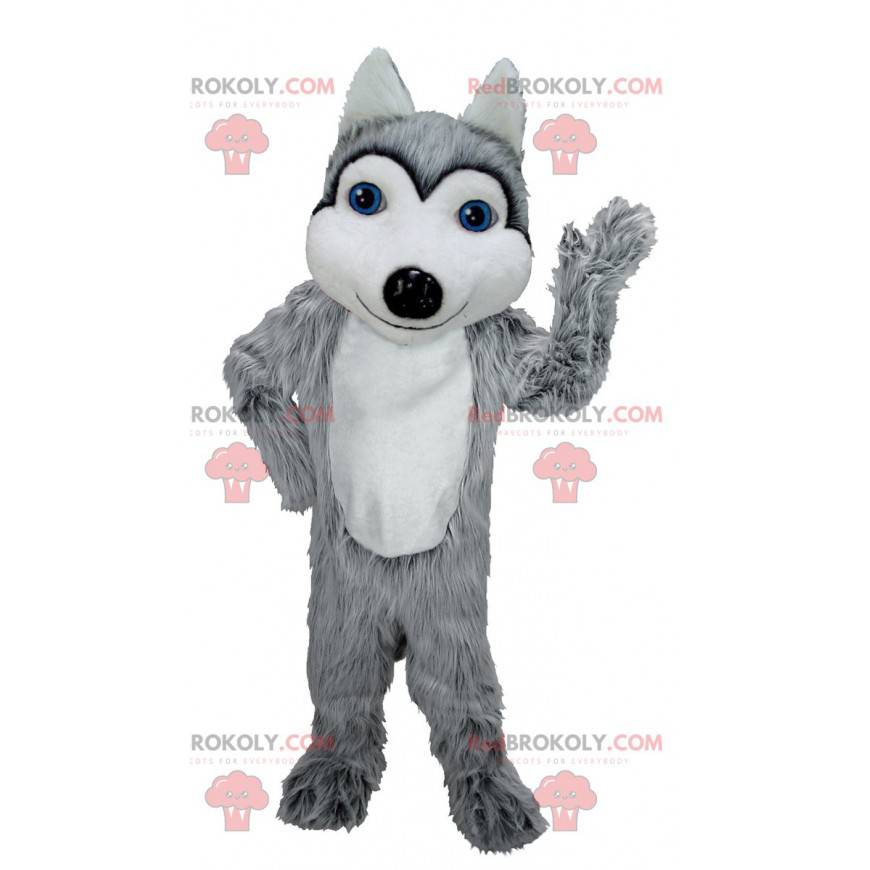 Šedý a bílý vlk maskot s modrýma očima - Redbrokoly.com