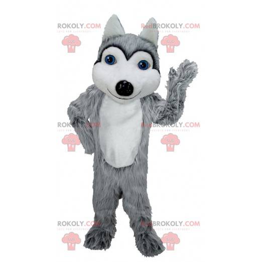 Mascotte de loup gris et blanc aux yeux bleus - Redbrokoly.com