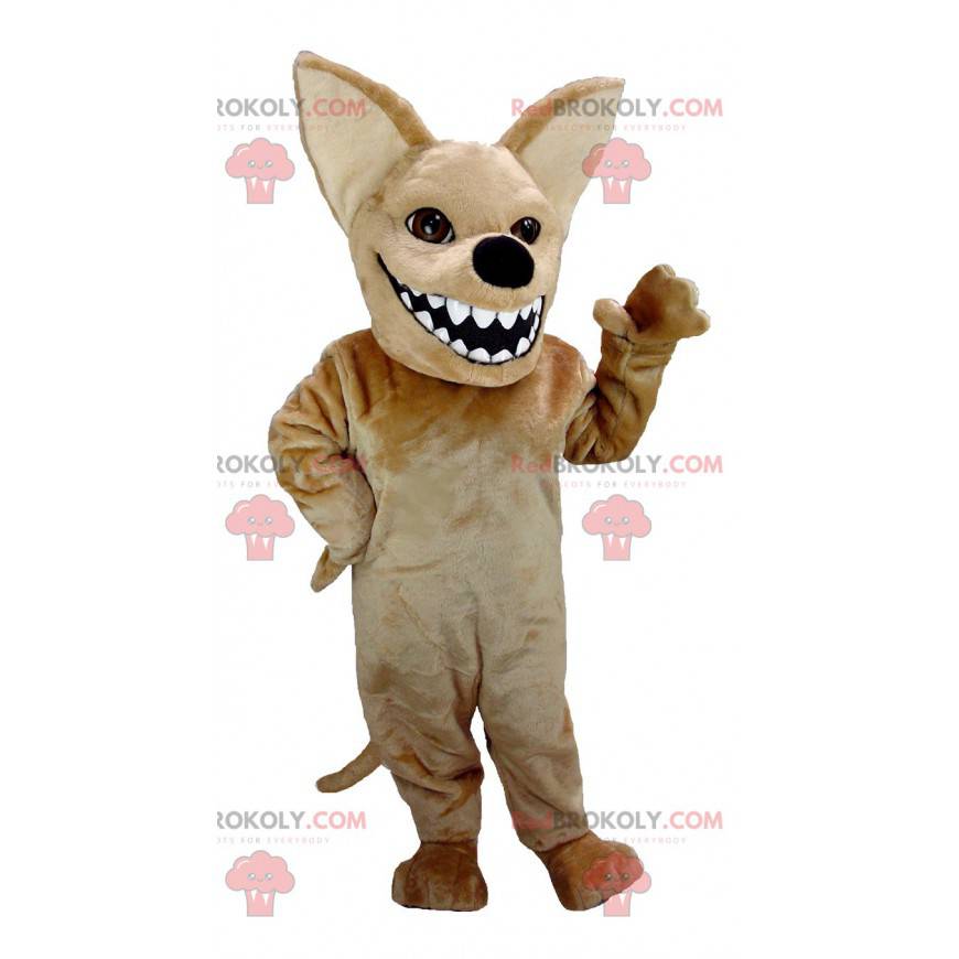 Mascot brown chihuahua with a big mouth - Redbrokoly.com