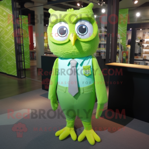 Lime Green Owl mascotte...