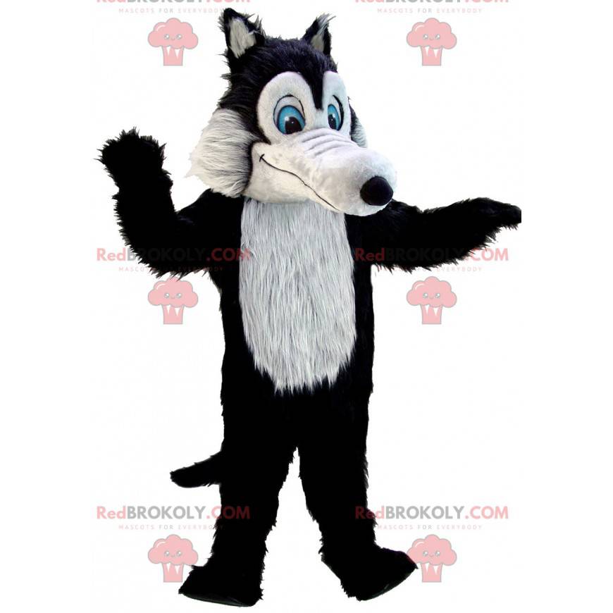 Mascot lobo negro y gris todo peludo con ojos azules -