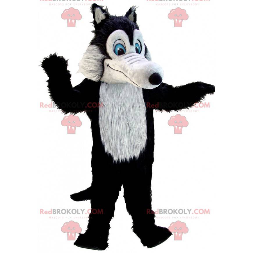 Mascot zwarte en grijze wolf allemaal harig met blauwe ogen -