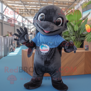 Black Dolphin mascotte...