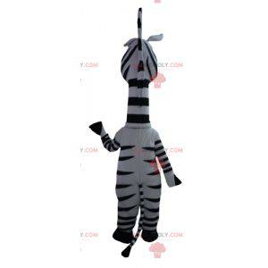 Marty mascot the famous zebra from Madagascar cartoon -