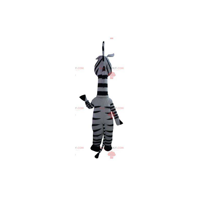 Marty mascot the famous zebra from Madagascar cartoon - Marty mascot the famous zebra from Madagascar cartoon -