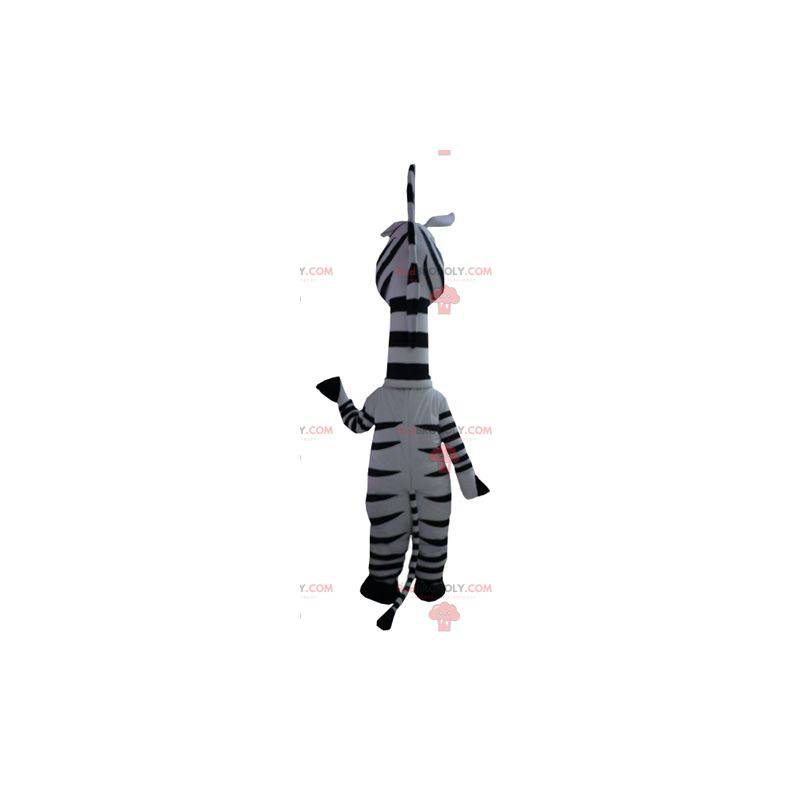 Marty mascot the famous zebra from Madagascar cartoon -