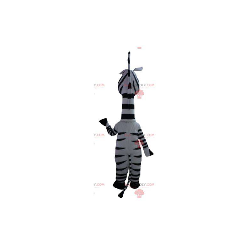 Marty maskot den berömda zebra från Madagaskar tecknad film -