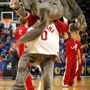 Mascota de elefante gris gigante con una camiseta roja y blanca