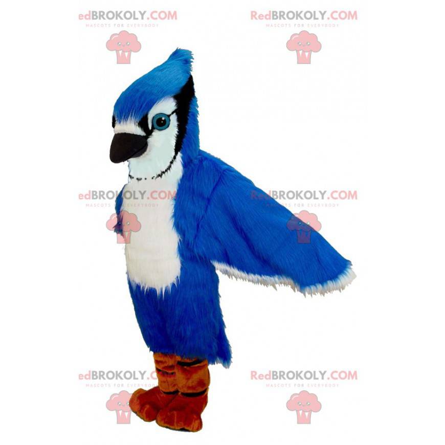 Mascotte d'oiseau bleu blanc et noir de geai bleu -
