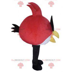 Mascota pájaro rojo y blanco del famoso juego Angry Birds -