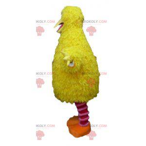 Mascot gele en roze vogel erg zacht grappig en harig -