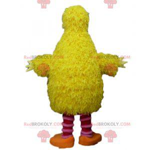 Mascot yellow and pink bird very soft funny and hairy -