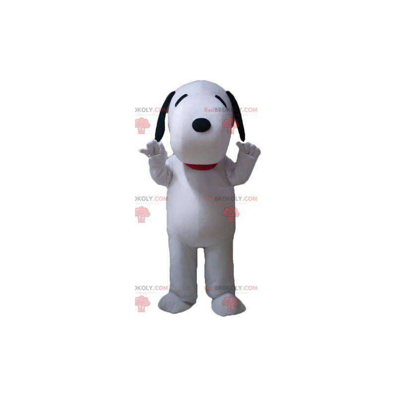 Snoopy famous cartoon dog mascot - Redbrokoly.com