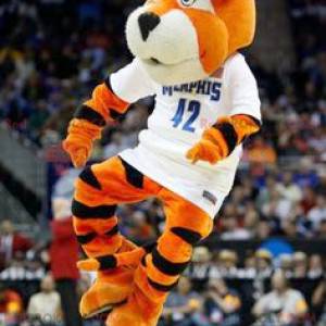 Black and white orange tiger mascot - Redbrokoly.com