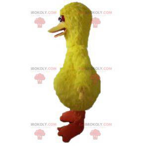 Grande uccello mascotte famoso uccello giallo di Sesame Street