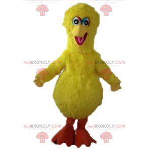 Großer Vogel Maskottchen berühmten gelben Vogel der Sesamstraße