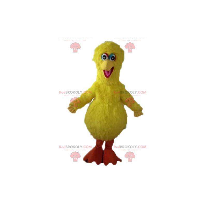 Grande uccello mascotte famoso uccello giallo di Sesame Street