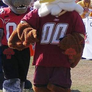 2 mascotas un águila marrón y blanca y un lobo gris -