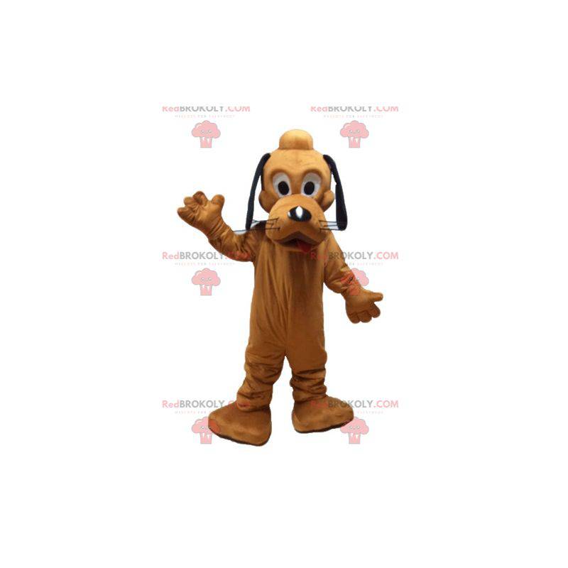 Pluto mascot famous orange dog from Disney's Pluto -