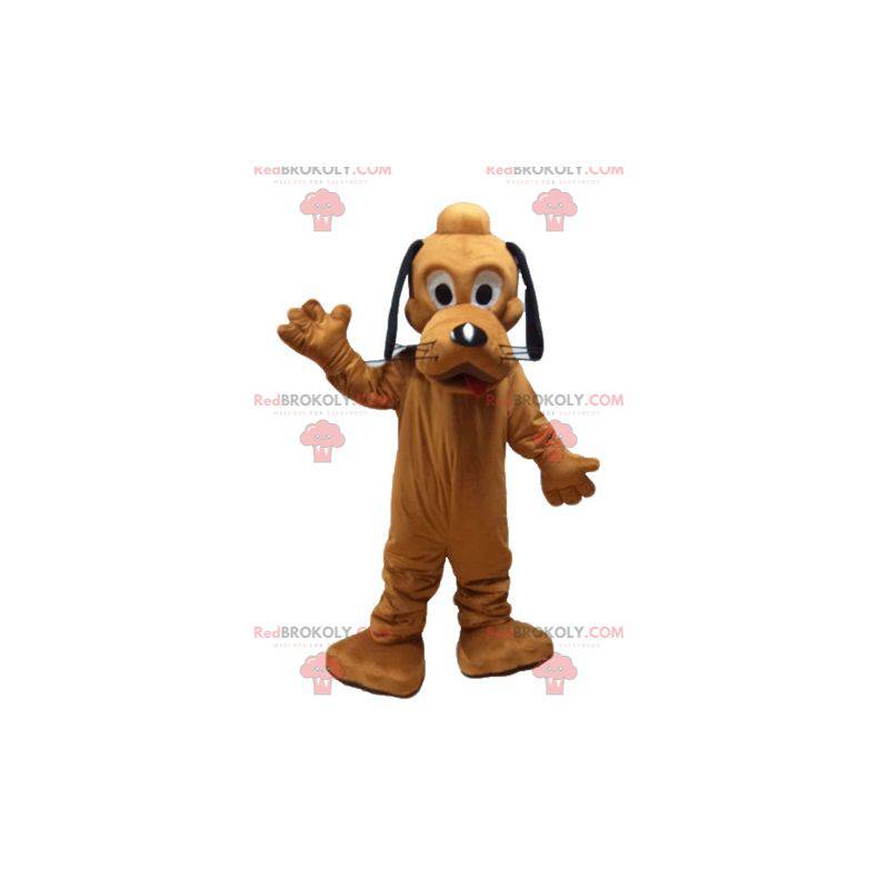 Pluto maskot berömd orange hund från Disneys Pluto -
