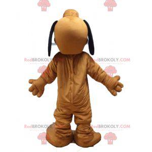 Pluto maskot berömd orange hund från Disneys Pluto -