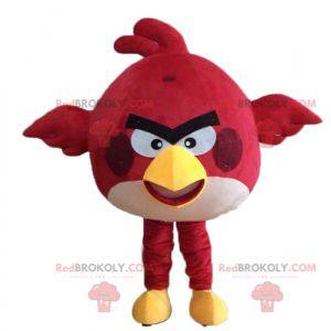 Red bird mascot from the famous game Angry birds -