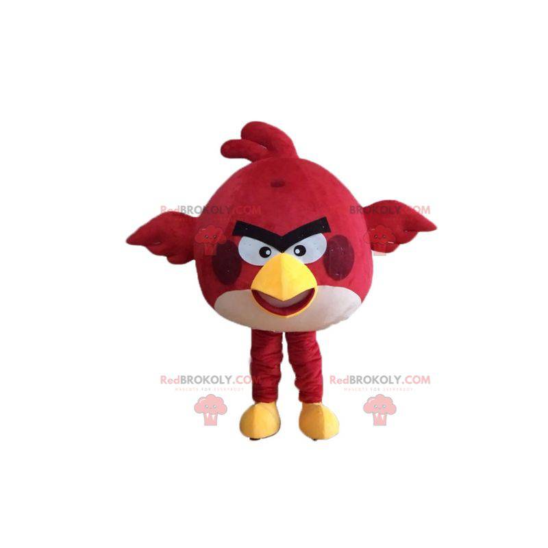 Rød fuglemaskot fra det berømte spillet Angry birds -