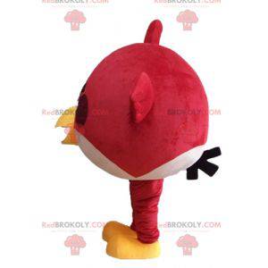 Mascotte rode vogel uit het beroemde spel Angry Birds -