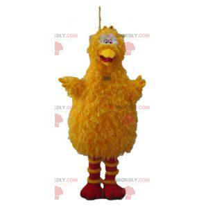 Grande uccello mascotte famoso uccello giallo di Sesame Street