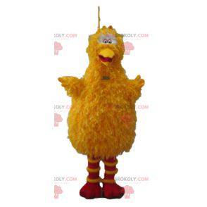 Big bird mascot famous yellow bird of Sesame street -