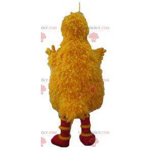 Mascotte de Big bird célèbre oiseau jaune de Sésame street -