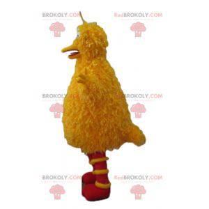 Grande uccello mascotte famoso uccello giallo di Sesame Street