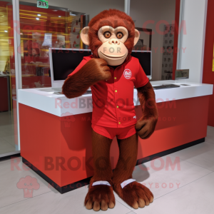 Red Chimpanzee mascot costume character dressed with a Shorts and Brooches