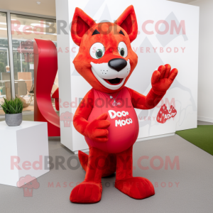 Red Dingo mascotte kostuum...