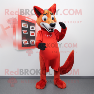 Red-Dingo Maskottchen...