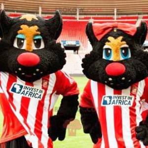 2 mascots of black and red cats in sportswear - Redbrokoly.com